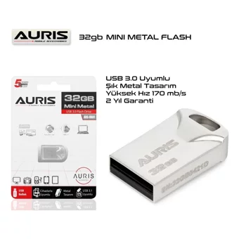 Auris Mini USB 3.0 Usb Type-A 32 GB Flash Bellek Gümüş