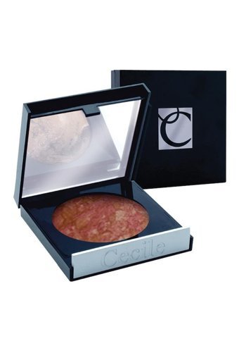 Cecile Cooked Terracotta No:06 Işıltılı Toz Allık Paleti
