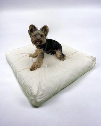 Kemique Softie White 010 Küçük Irk İç Mekan Köpek Yatağı Krem