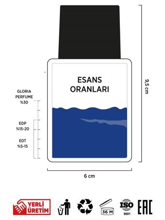 Gloria Perfume Bleue Seduction EDP Meyveli Erkek Parfüm 55 ml