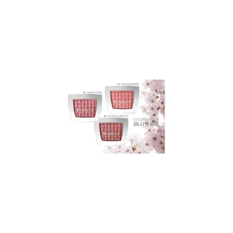 Beyu Color Passion No:120 Işıltılı Toz Allık Paleti