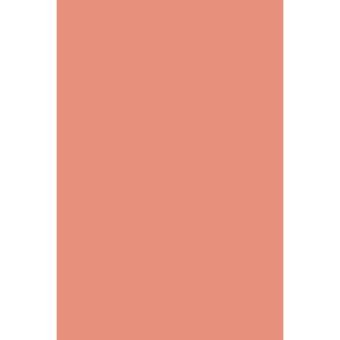Flormar Pink Coral Mat Toz Allık Paleti