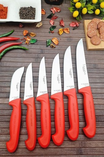 LAZBİSA Sürmene Çeyiz Mutfak Kurban Bıçak Seti Sebze Ekmek Bıçağı 6 Parça Silver Serisi Mutfakk413