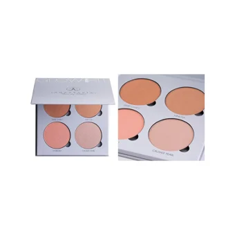 Anastasia Beverly Hills Glow Kıt Gleam Mat Toz Allık Paleti