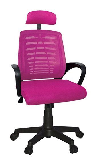 Türksit Karizma File Plastik Başlıklı Kolçaklı Dönerli Pembe Çalışma Sandalyesi