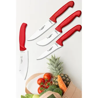 Lazbisa Silver Mutfak Bıçak Seti Günlük Kullanım 4 Parça Et Ekmek Şef Sebze Meyve Soğan Börek Bıçağı