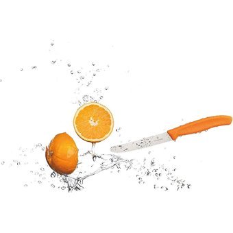 Evrekala Shop Bıçak Seti Victorinox Paslanmaz Çelik 10cm Ve 8 Cm Knife Set