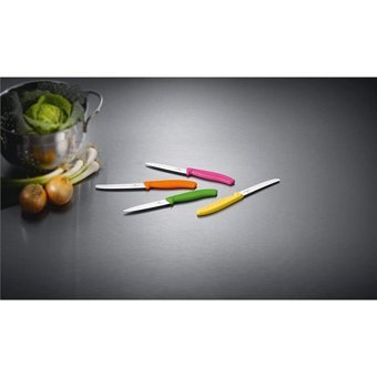 Evrekala Shop Bıçak Seti Victorinox Paslanmaz Çelik 10cm Ve 8 Cm Knife Set
