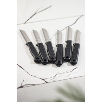 Asva Shop Solingen 6 Lı Meyve Bıçağı Seti (Çok Keskin Tırtıklı Ağız Yapısı )