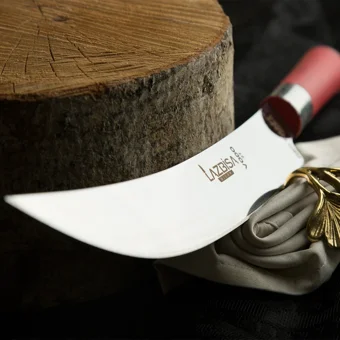 Red Craft Serisi Mutfak Bıçak Seti Et Bıçağı Ekmek Sebze Meyve Şef Bıçağı 2li Set