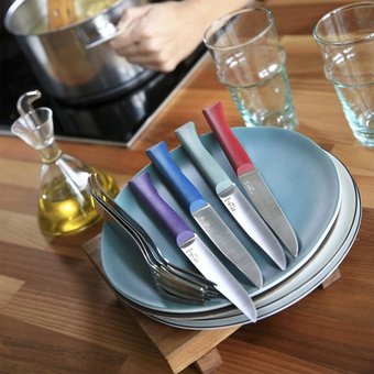 Opinel Bon Appetit 4 Parça Mutfak Bıçağı Seti - Ahşap