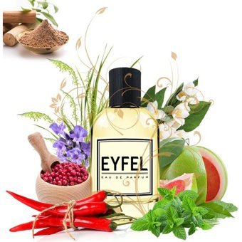 Eyfel M96 EDP Aromatik Erkek Parfüm 100 ml