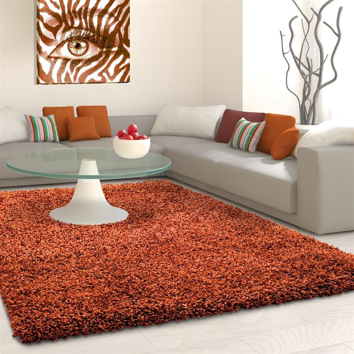 Red Halı Kiremit 30 mm Polipropilen Toz Tutmaz Yıkanabilir Kalın Kaymaz Dikdörtgen Makine Dokuma Salon Halısı 140x200 cm