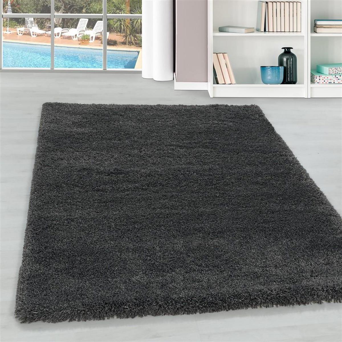 Red Halı Gri 30 mm Polipropilen Antibakteriyel Yıkanabilir Kalın Kaymaz Lateks Taban Dikdörtgen Makine Dokuma Salon Halısı 200x290 cm