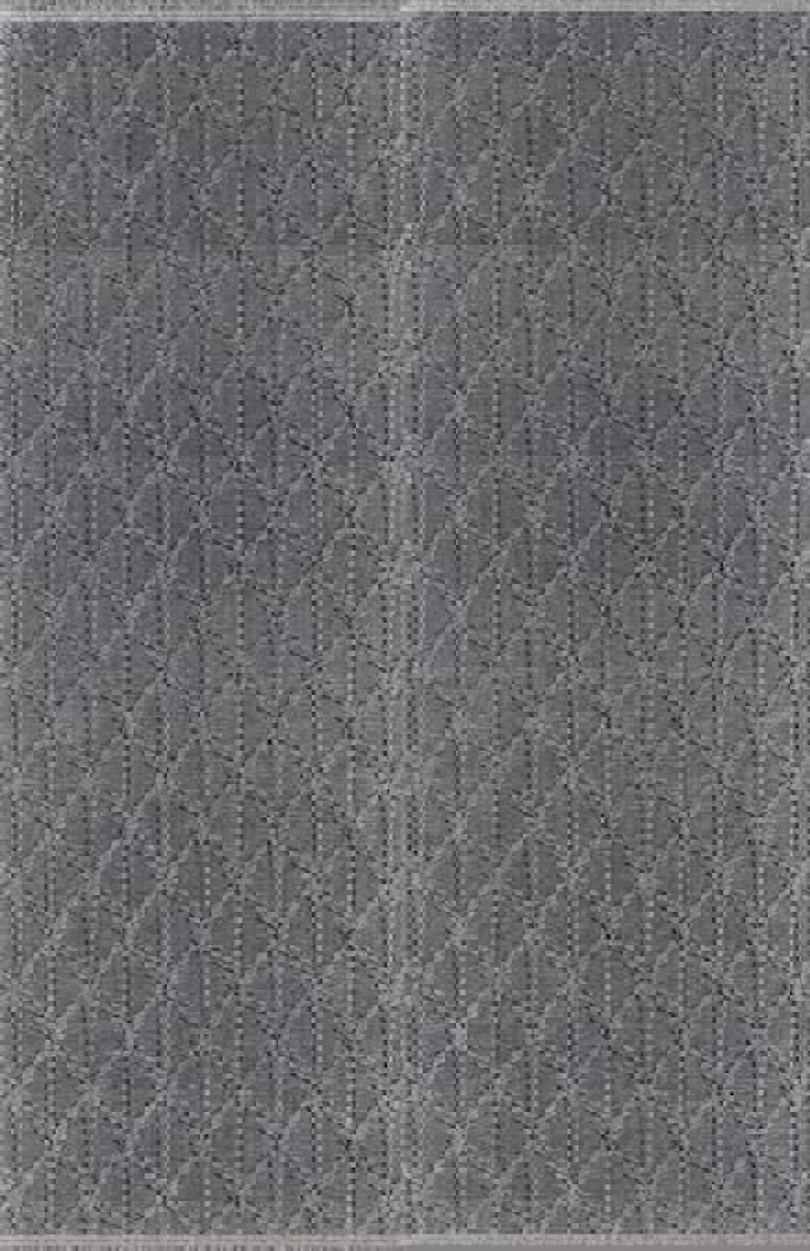 Pierre Cardin Maxwell Gri 5 mm Polyester Silinebilir Yıkanabilir Orta Dikdörtgen Makine Dokuma Salon Halısı 200x300 cm