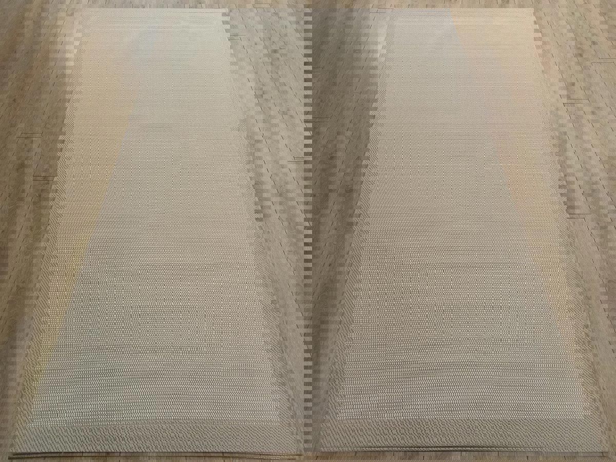 Çam Halı 9327 Bej Silinebilir Yıkanabilir Orta Kaymaz Dikdörtgen Makine Dokuma Salon Halısı 160x300 cm