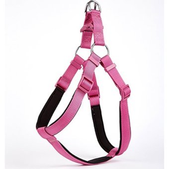 Doggie Konfor Ronin 45-55 cm Göğüs H Tipi Köpek Tasması Mor