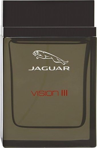 Jaguar Vision III EDT Meyveli-Odunsu Erkek Parfüm 100 ml