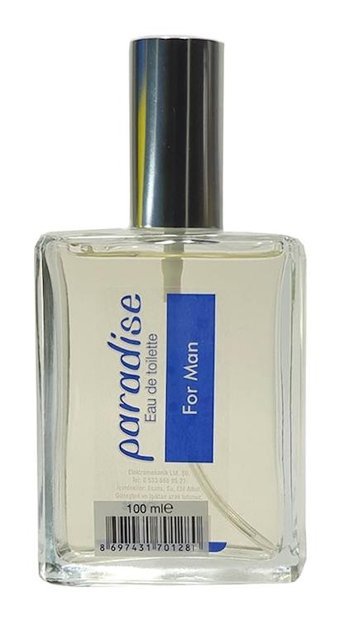 Paradise E8 EDT Çiçeksi-Odunsu Erkek Parfüm 100 ml