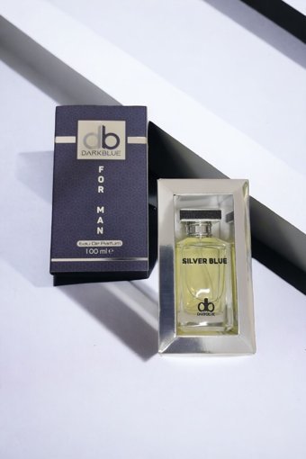 Dark Blue Silver Blue EDP Baharatlı-Odunsu Erkek Parfüm 100 ml