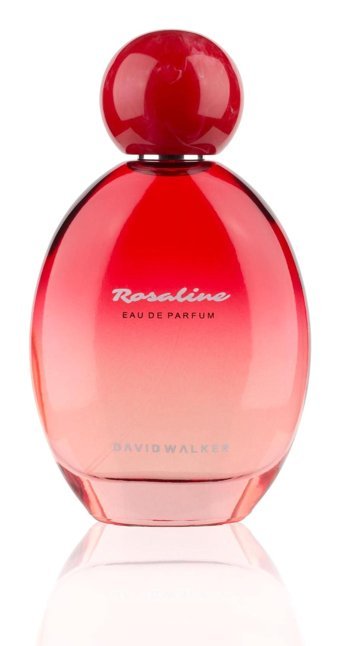 David Walker Feminen Colorful Rosalıne Erkek Parfüm 100 ml