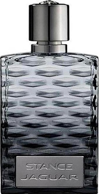 Jaguar Stance EDT Çiçeksi-Odunsu Erkek Parfüm 100 ml