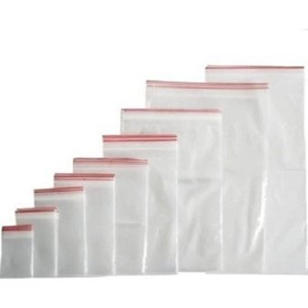 Dolphin Orta Kilitli 23x31 Buz Dolabı Poşeti 250 Adet