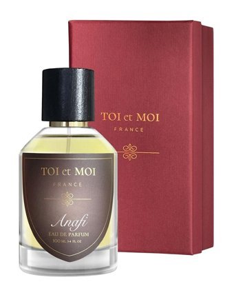 Toi et Moi Anafi EDP Çiçeksi-Ferah Erkek Parfüm 100 ml