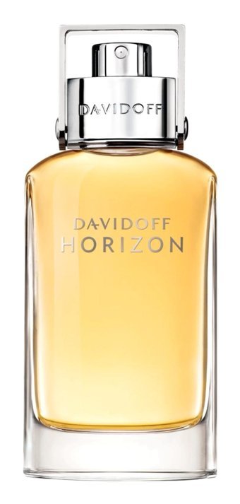 Davidoff Horizon EDT Çiçeksi-Odunsu Erkek Parfüm 75 ml