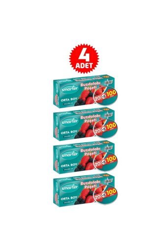 Smarter Orta Buz Dolabı Poşeti 4x100 Adet
