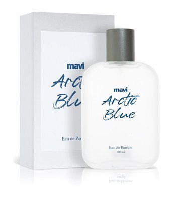 Andorra Arctic Blue EDP Meyveli-Odunsu Erkek Parfüm 100 ml