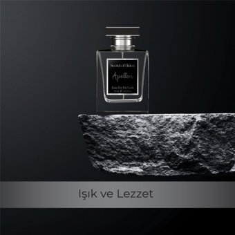 Secret Of Helen Apollon EDP Çiçeksi-Oryantal Erkek Parfüm 50 ml