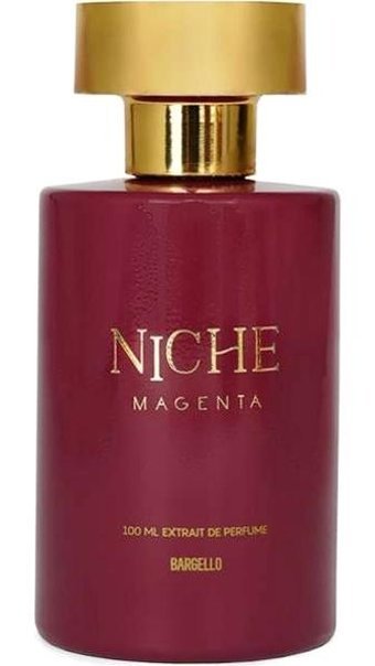 Bargello Niche Always With You EDP Çiçeksi-Meyveli Erkek Parfüm 100 ml
