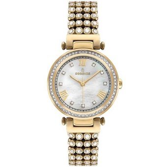 Essence ES6704FE.120 35 mm Altın Çelik Kordon Analog Kadın Kol Saati