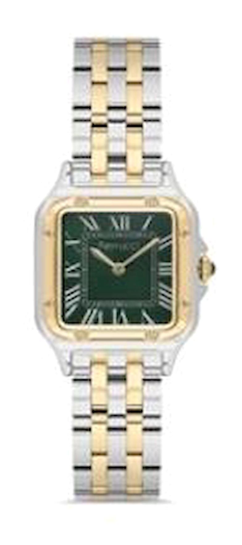 Ferrucci FC.0324.03307M.06 27 mm Altın-Gri Çelik Kordon Analog Kadın Kol Saati