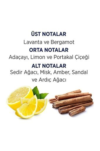First Class Bergamot Limon İkili Erkek Parfüm Deodorant Seti EDT 100 ml + Deodorant 150 ml