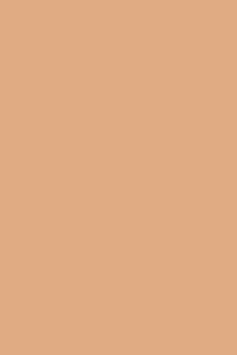 Flormar 008 Golden Beige Göz Altı ve Yüz Likit Fırça Kapatıcı