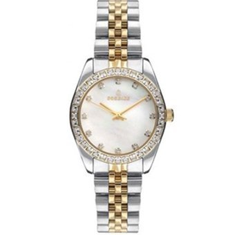 Essence ES6746FE.220 33 mm Altın-Gri Çelik Kordon Analog Kadın Kol Saati