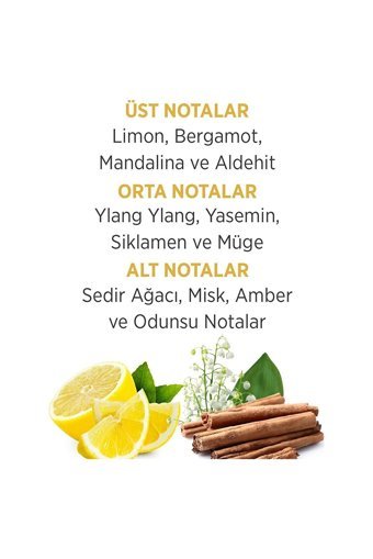 Blade Archer İkili Erkek Parfüm Deodorant Seti EDT