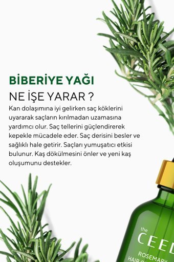 The Ceel Biberiye Yağı Complexi Saç Dökülmesi ve Yıpranmış Saçlar için Hızlı Saç Uzatan Biotinli Saç Bakım Yağı Serumu 2 x 50 ml