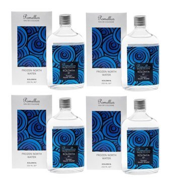 Pomellos Frozen North Water Cam Şişe Kolonya 4x250 ml