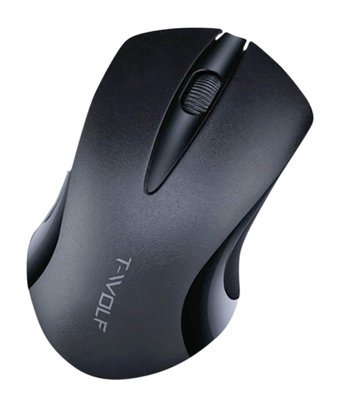 Fiauli Lecoo M1102 Ergonomik Kablosuz Siyah Optik Mouse