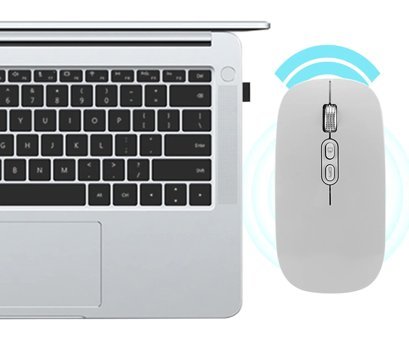 Annadue Ergonomik Kablosuz Gümüş Optik Mouse