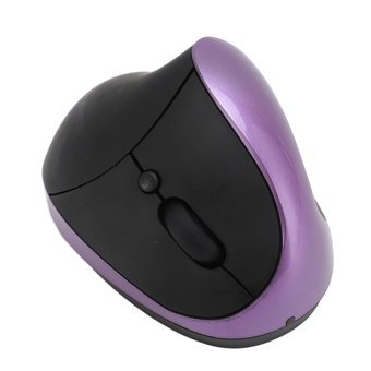Dsheng Q13 Dikey Makrolu Kablosuz Mor Optik Gaming Mouse