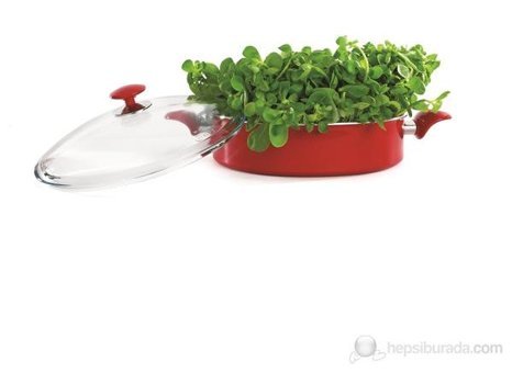 Essenso Ecotouch Napoli Cam Kapaklı Granit 26 cm Basık Tencere