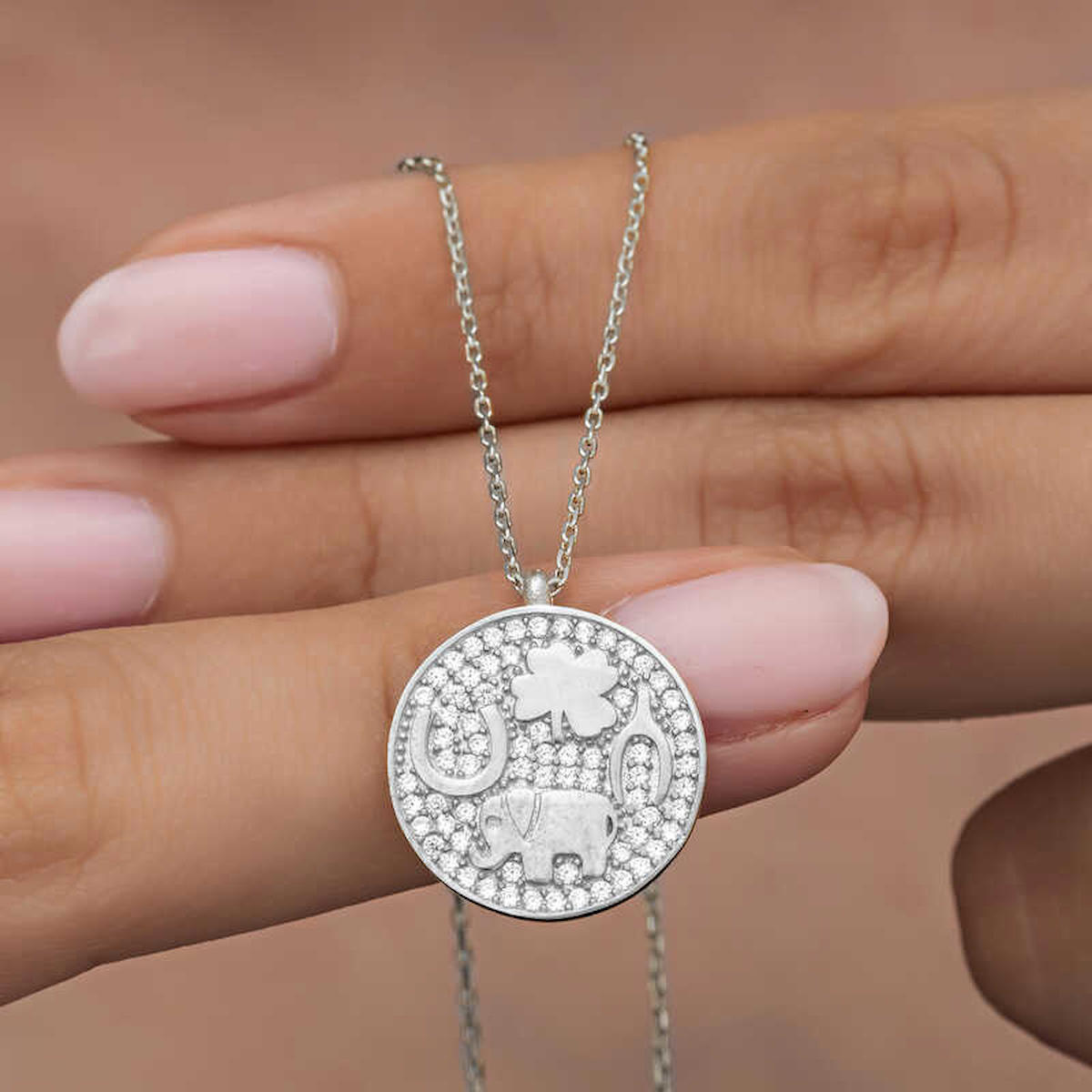 Lucky Life Filli Beyaz Zirkon Taşlı 925 Ayar Kararmayan Halat Zincir Kadın Gümüş Kolye 45 cm