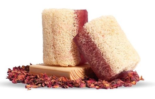 Proclis Bitkisel Kabak Lifli-Kolajen Katı Sabun 130 gr