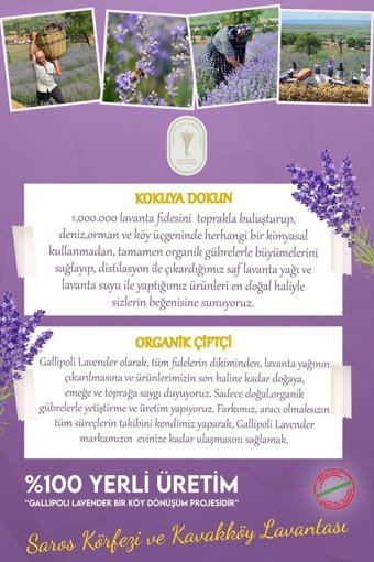 Gallipoli Lavender Bitkisel Lavanta Katı Sabun 5x100 gr