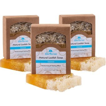 The Soap Factory Bitkisel Vegan Hindistan Cevizi Katı Sabun 3x120 gr