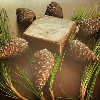 Proherbal Çam Kozalağı Katı Sabun 100 gr